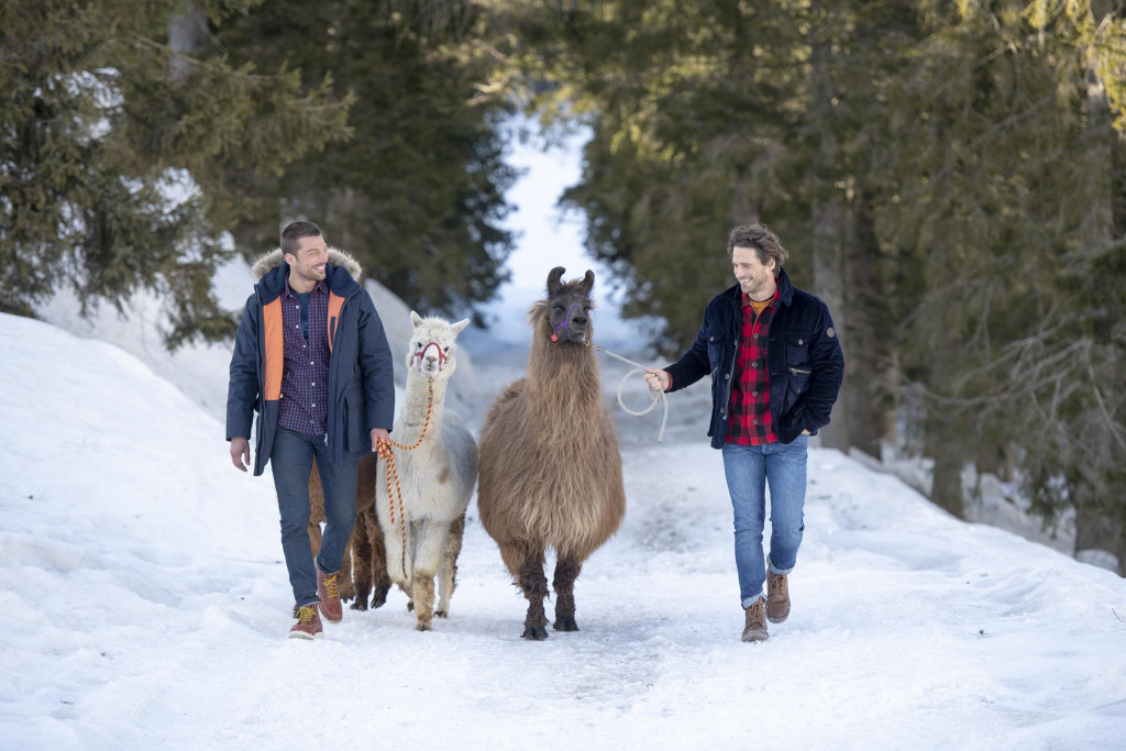 mcs campagna pubblicitaria autunno inverno