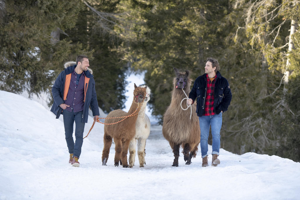 mcs campagna pubblicitaria autunno inverno