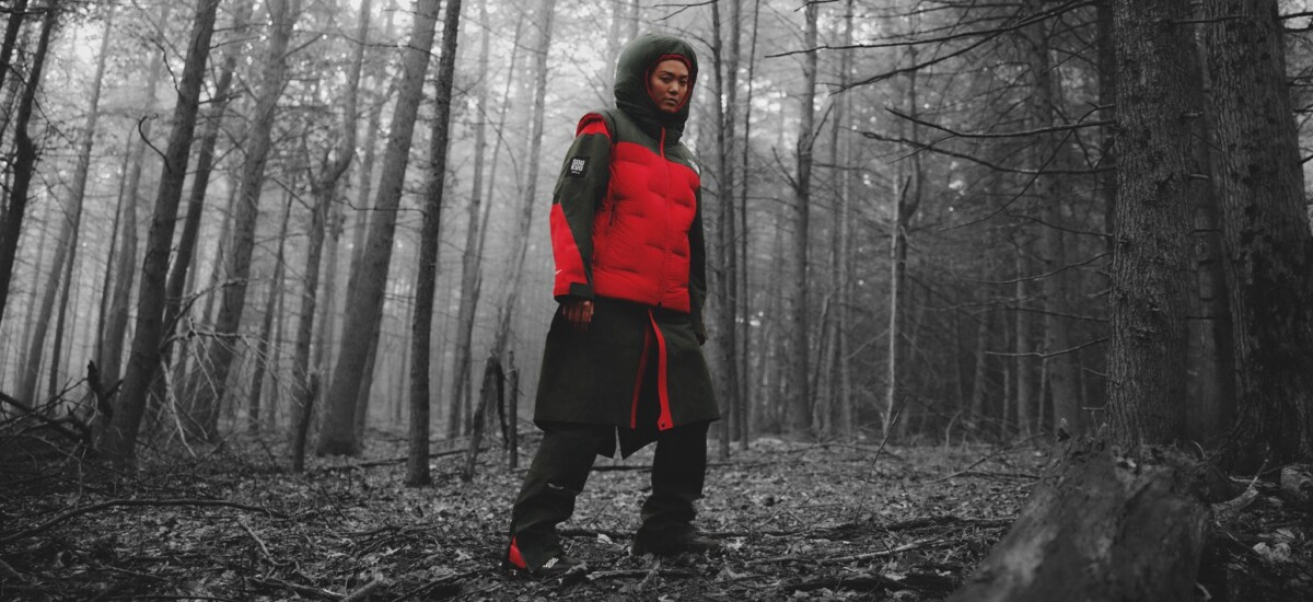 the north face - undercover
