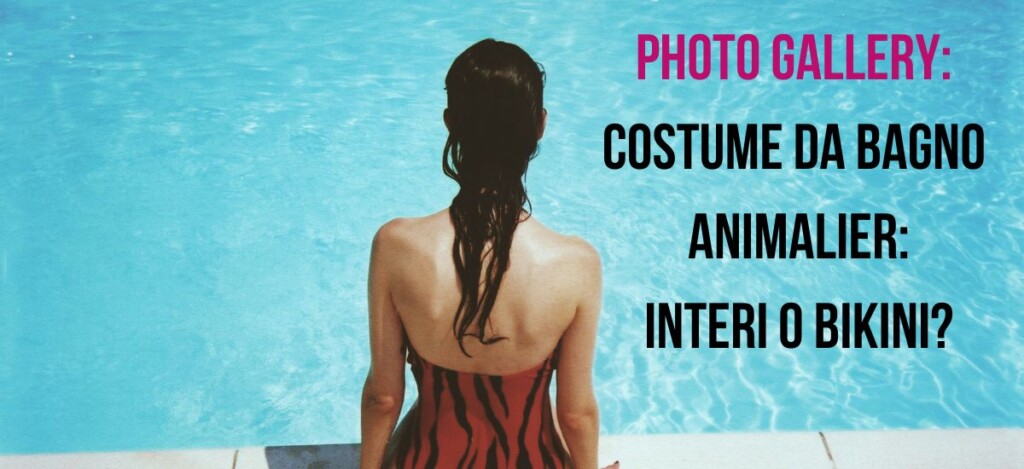 costume animalier