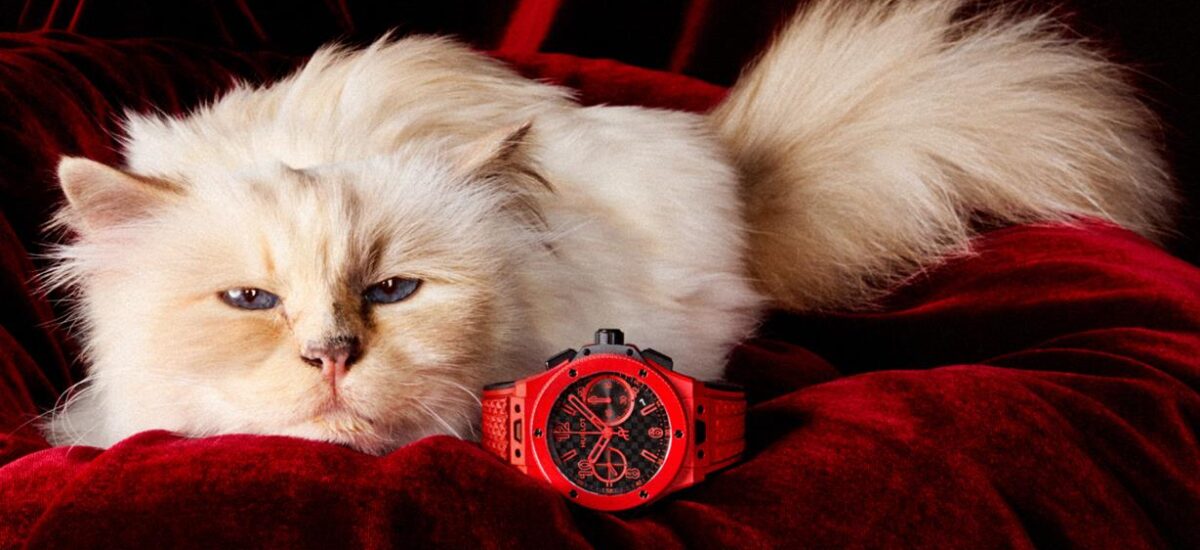 own campagna hublot con icona gatto choupette karl lagerfeld (1)
