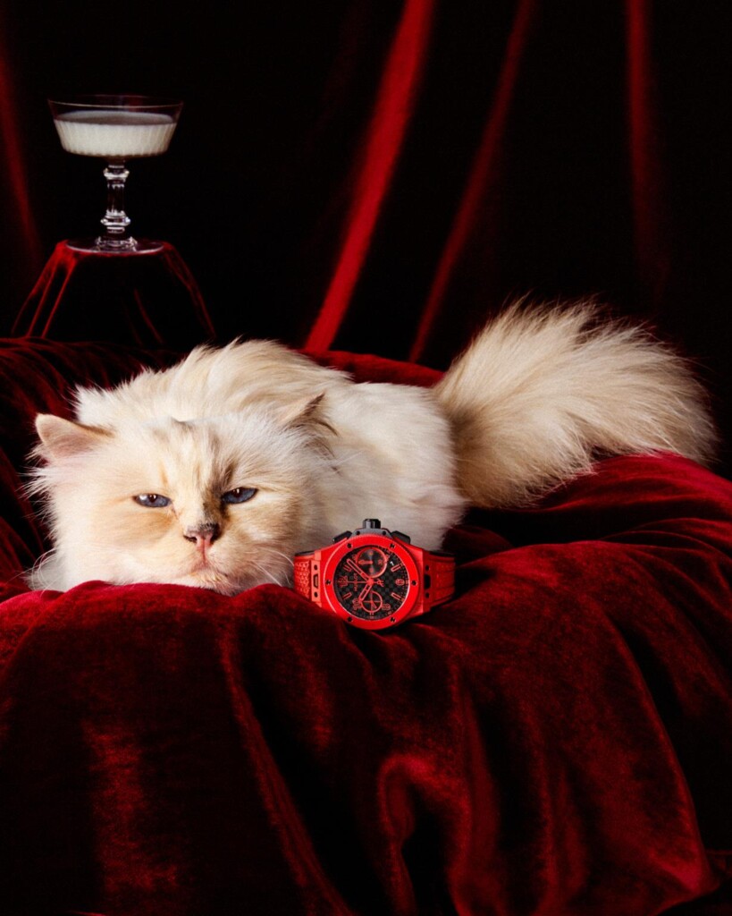 own campagna hublot con icona gatto choupette karl lagerfeld (1)